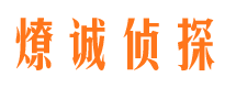 肇庆市场调查